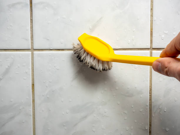 Best Commercial Mold Removal  in Grandview, MO